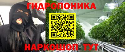 ГАЛЛЮЦИНОГЕННЫЕ ГРИБЫ Тара